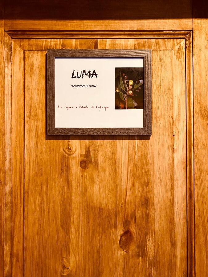 Hostal Esquina Patagonica كويهايك المظهر الخارجي الصورة