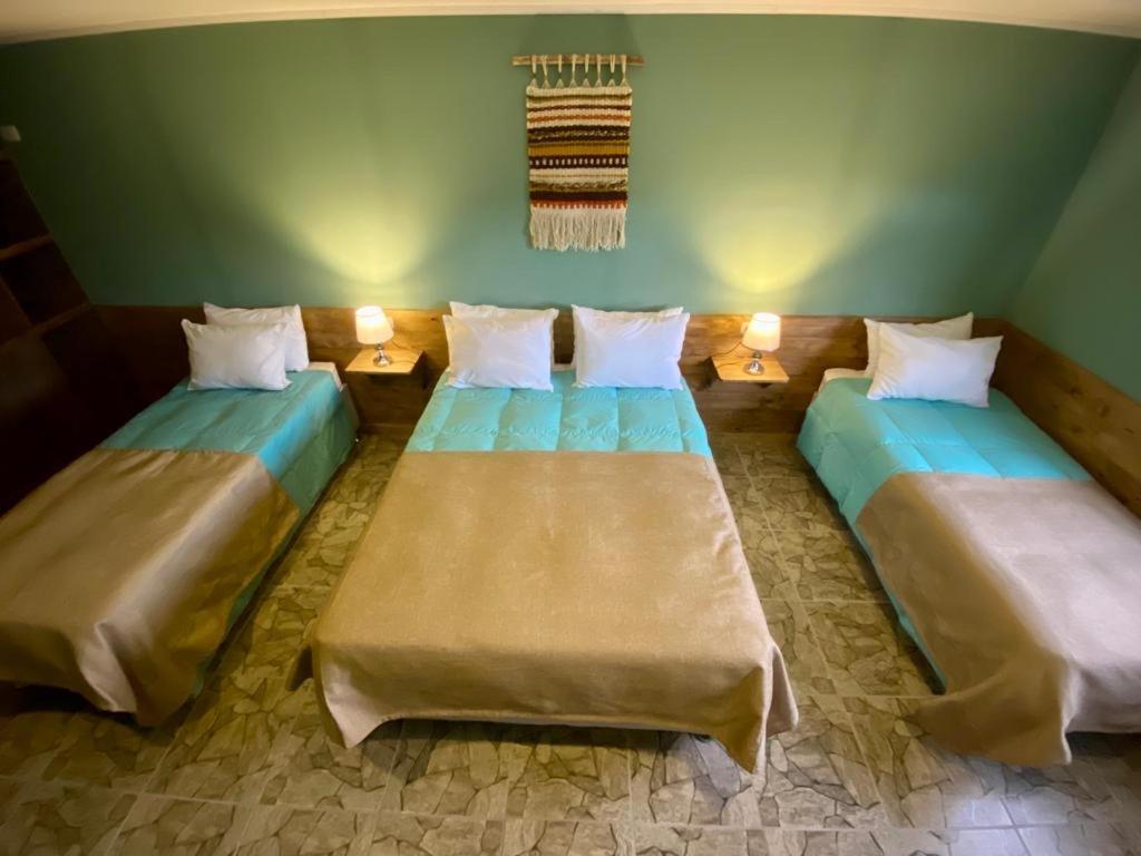 Hostal Esquina Patagonica كويهايك المظهر الخارجي الصورة