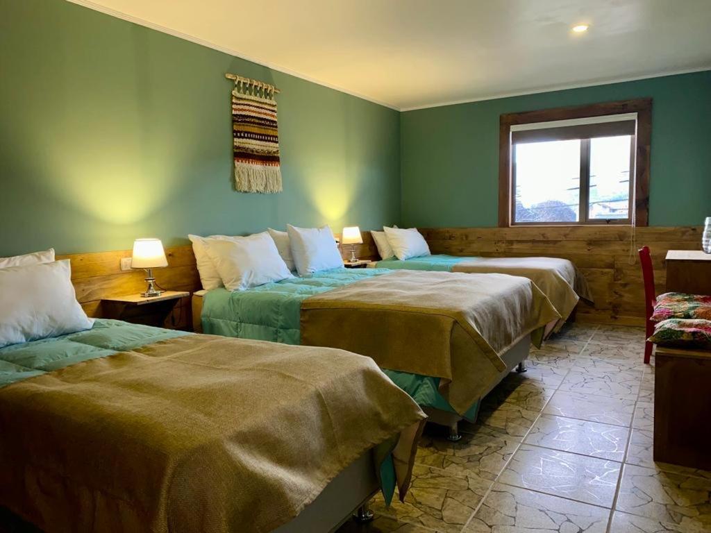 Hostal Esquina Patagonica كويهايك المظهر الخارجي الصورة